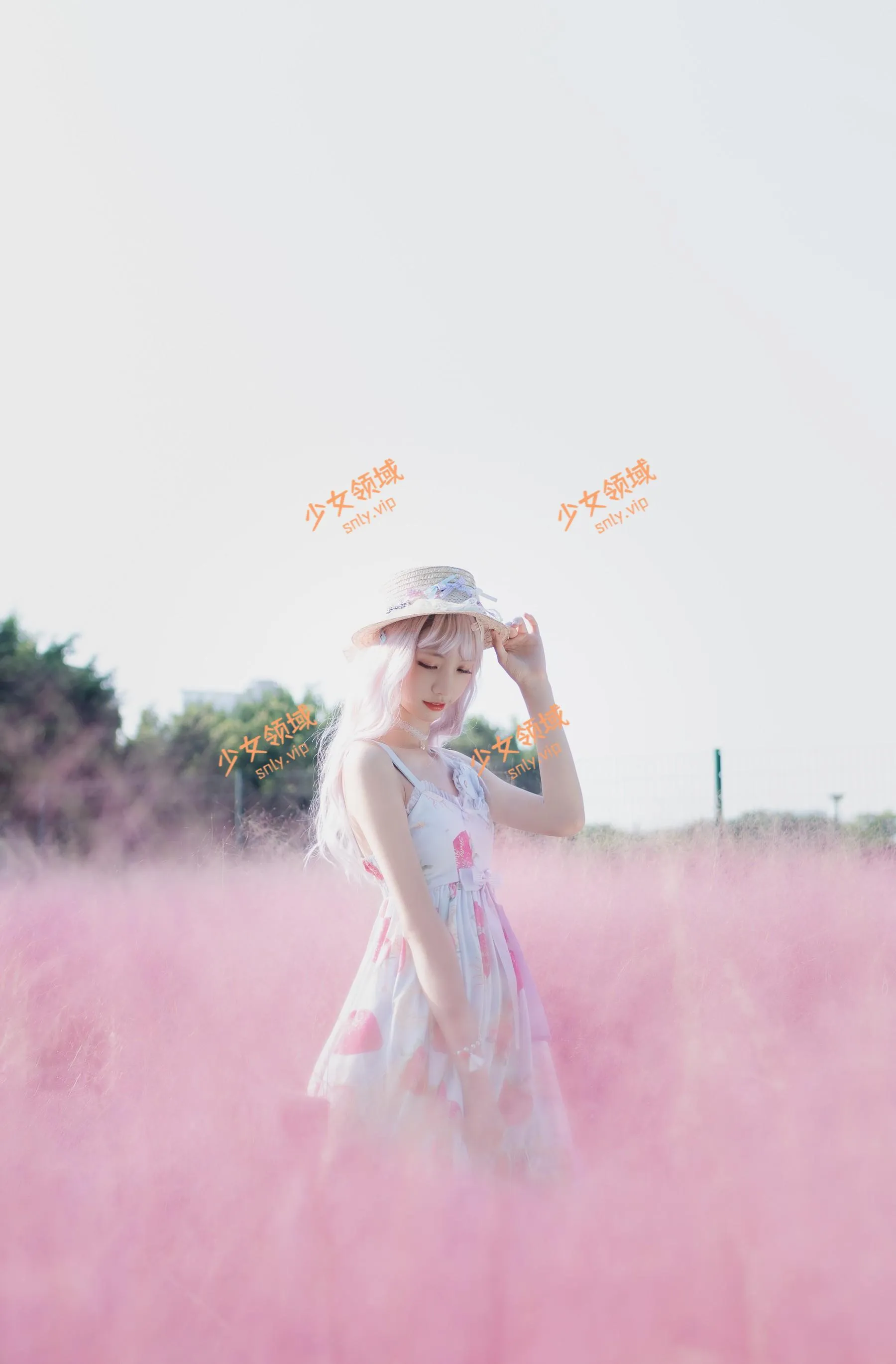 西瓜少女 NO.010 粉草 [16P]插图5